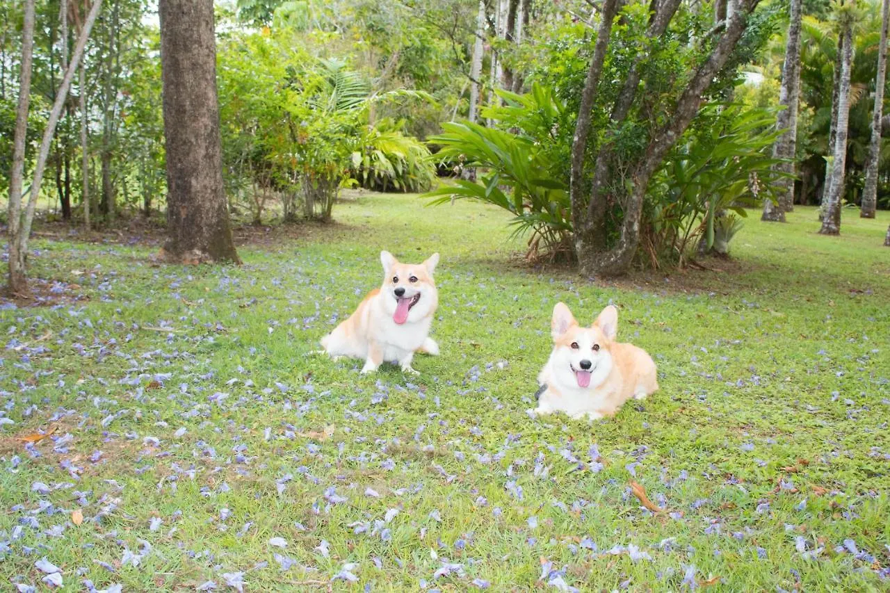 Sunshine Valley Cottages Woombye